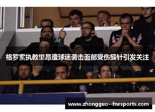 格罗索执教里昂遭球迷袭击面部受伤缝针引发关注 格罗索执教里昂遭球迷袭击面部受伤缝针引发关注